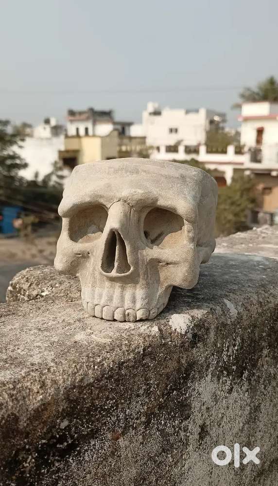 THE SKULL DISK NATURE TONES × DAMNGOOD Skullcandy Crusher Active Noise Cancellation Wireless Over-Ear