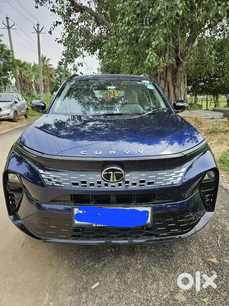 Tata Curvv 2025 Petrol Well Maintained