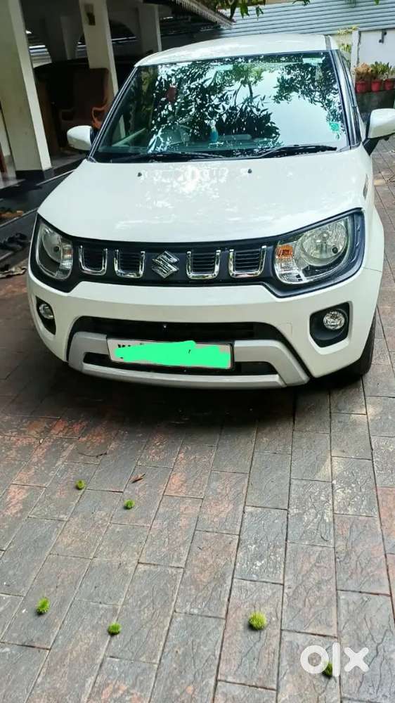 Maruti Suzuki Ignis 2017 Petrol Only 49000 Km Driven