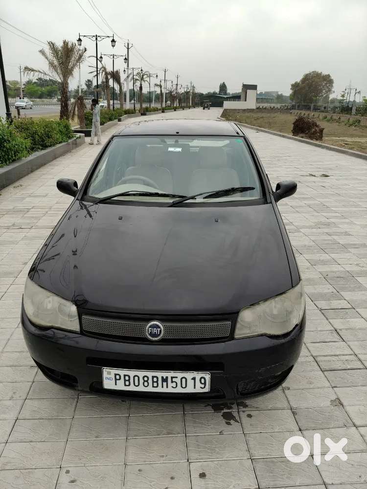 Fiat Palio All Ok All Original Black Colour Punjab Number