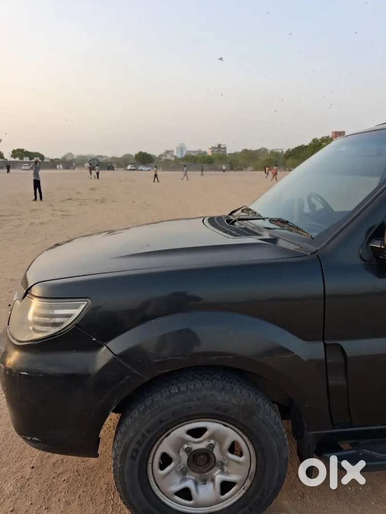 Safari Storme