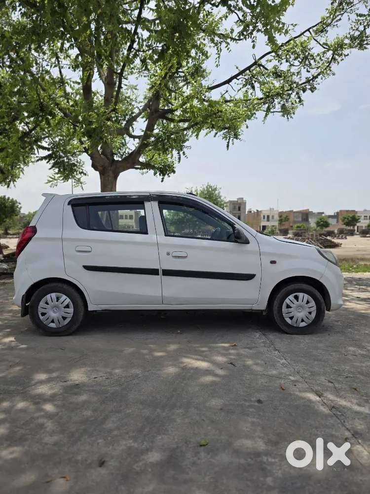 Alto 800 Vxi Top Model Cng On Paper
