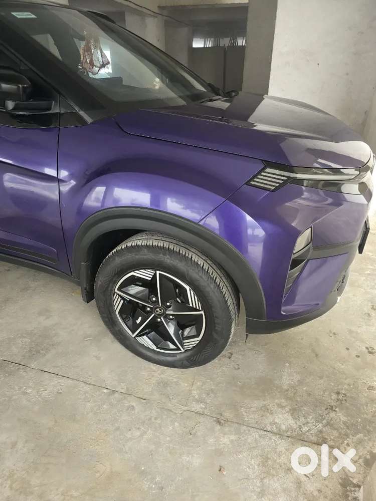 Tata Nexon 2024 Petrol Well Maintained