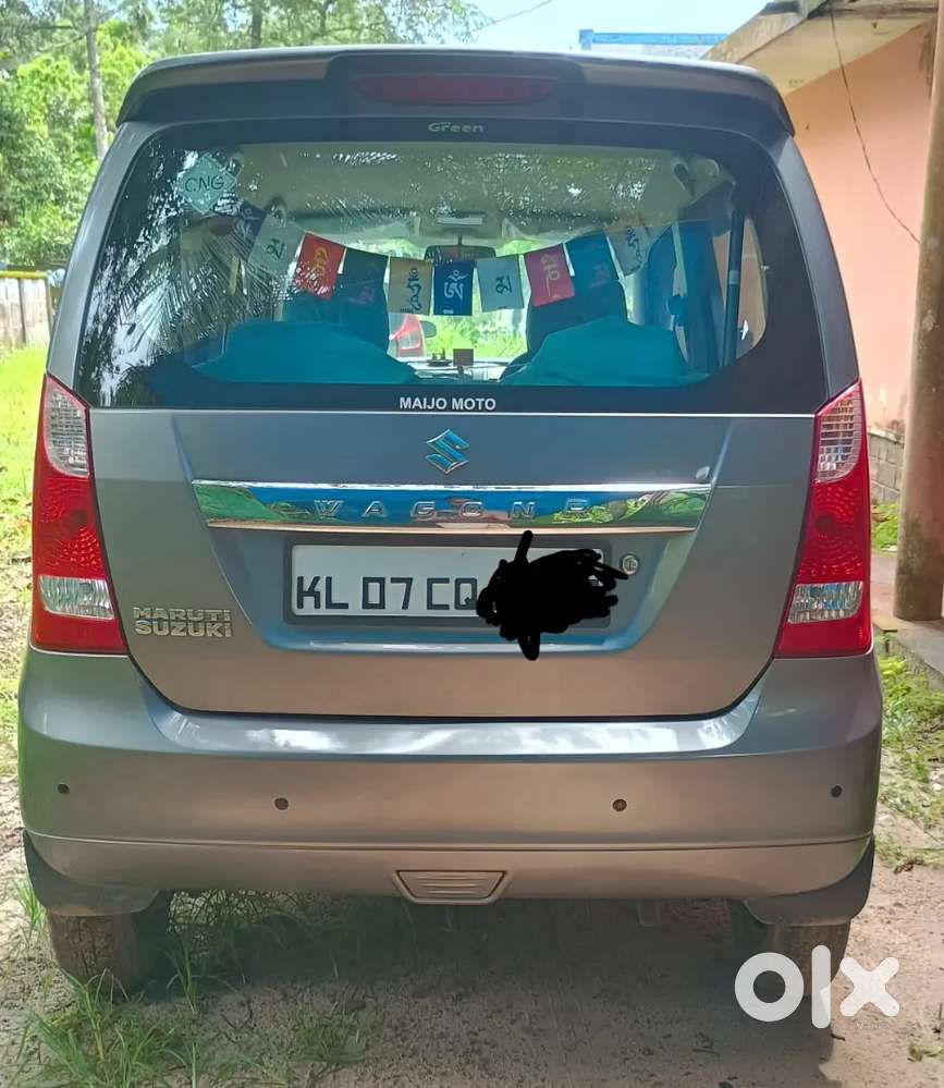 Wagner Cng With Petrol