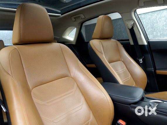 Lexus Nx Lexus-nx-300h-luxury, 2020, Petrol