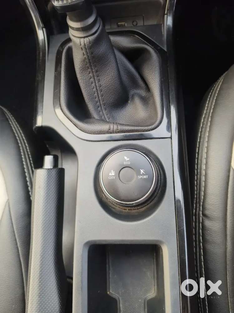 Tata Nexon 2024 Petrol Well Maintained