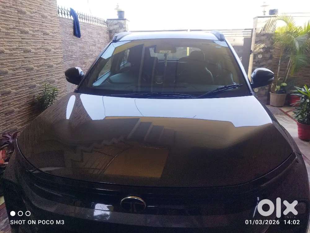 Tata Nexon 2025 Diesel Well Maintained