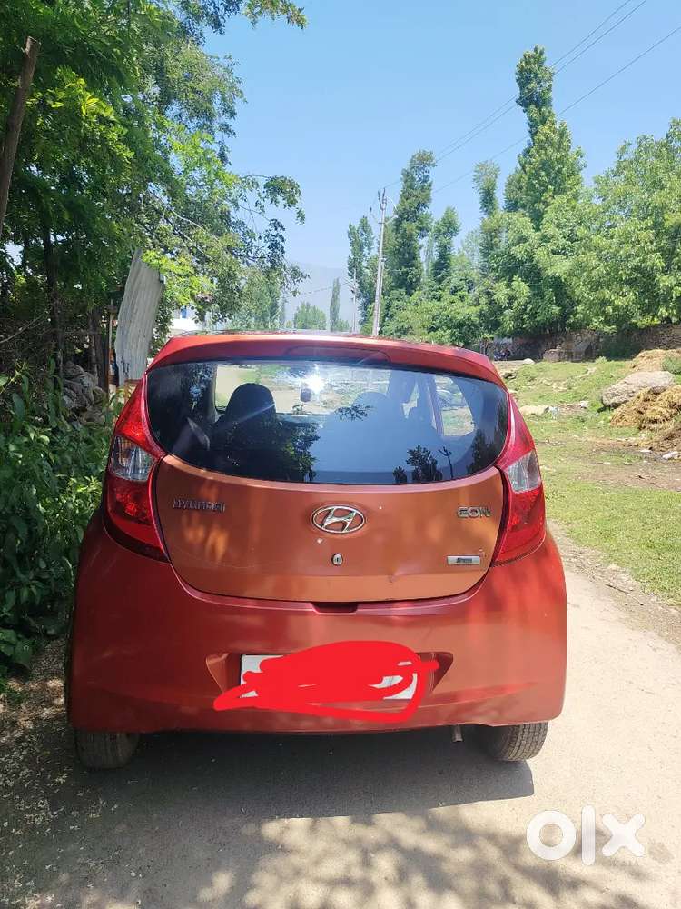 Eon Fuel Petrol 2013 Model