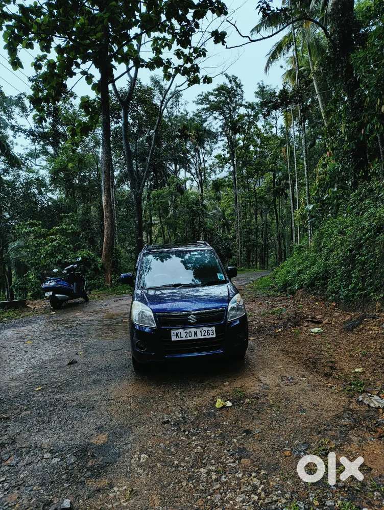 Maruti Suzuki Wagon R 1.0 2018 Petrol Well Maintained