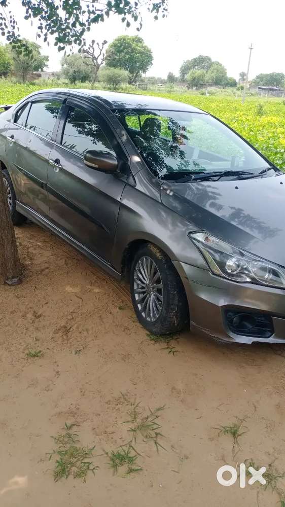 Maruti Suzuki Ciaz 2016 Diesel Car