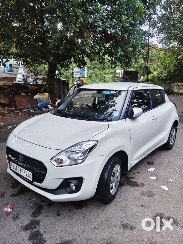 Swift 2024 (2 Year Old)