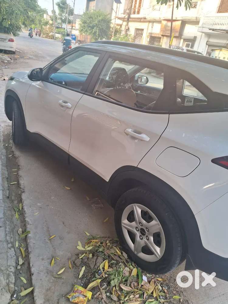 Kia Seltos 2024 Petrol Well Maintained