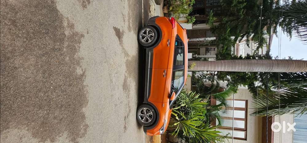 Orange Colored