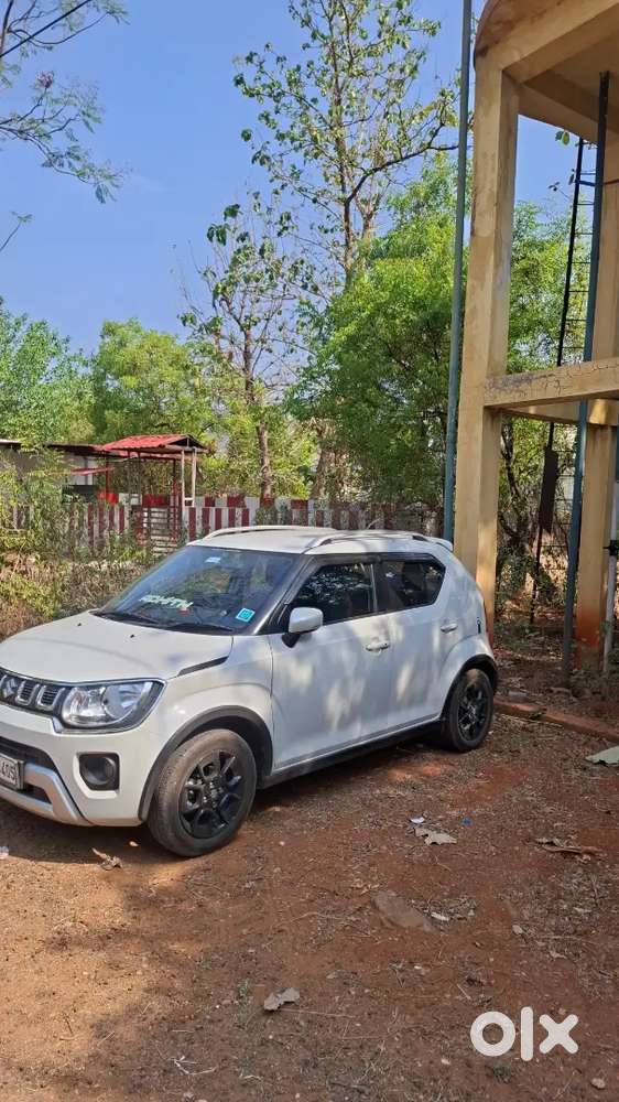 Maruti Suzuki Ignis Petrol 2024