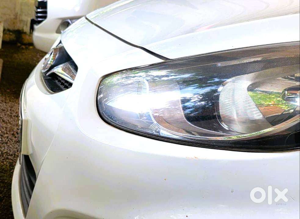 Rarely Used Fluidic Verna
