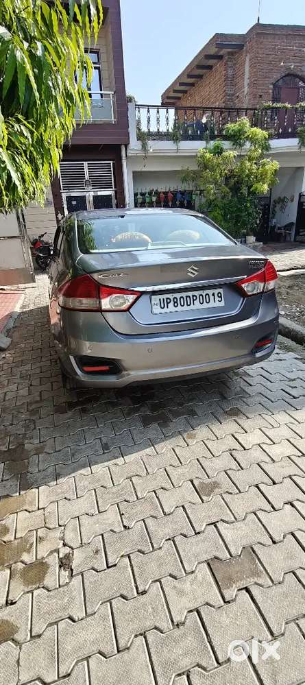 Ciaz Car For Sale