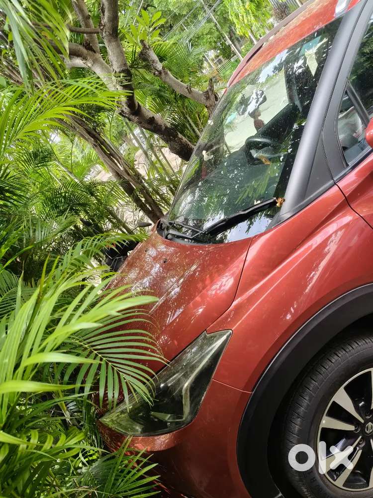 Nissan Kicks 1.5 Xl Petrol 2019
