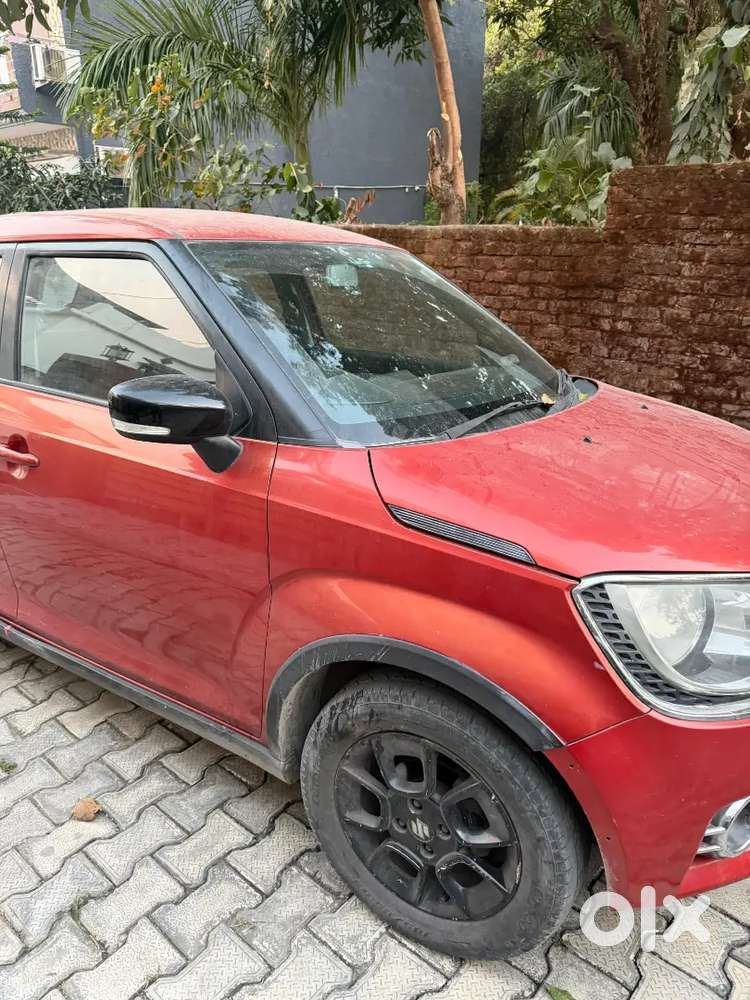 Maruti Suzuki Ignis 2017 Petrol Well Maintained