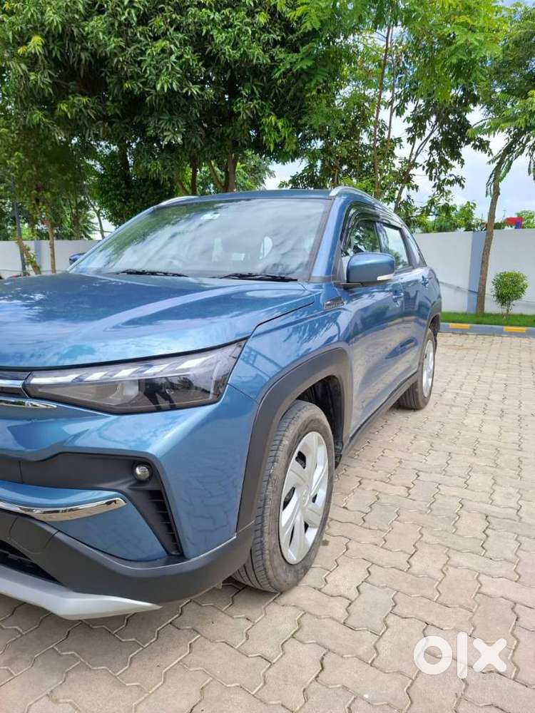 Maruti Suzuki Victoris Others, 2026, Petrol