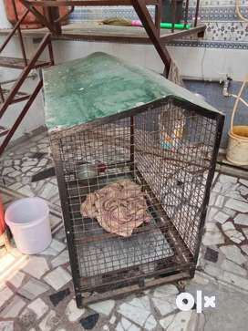 Dog cages clearance olx