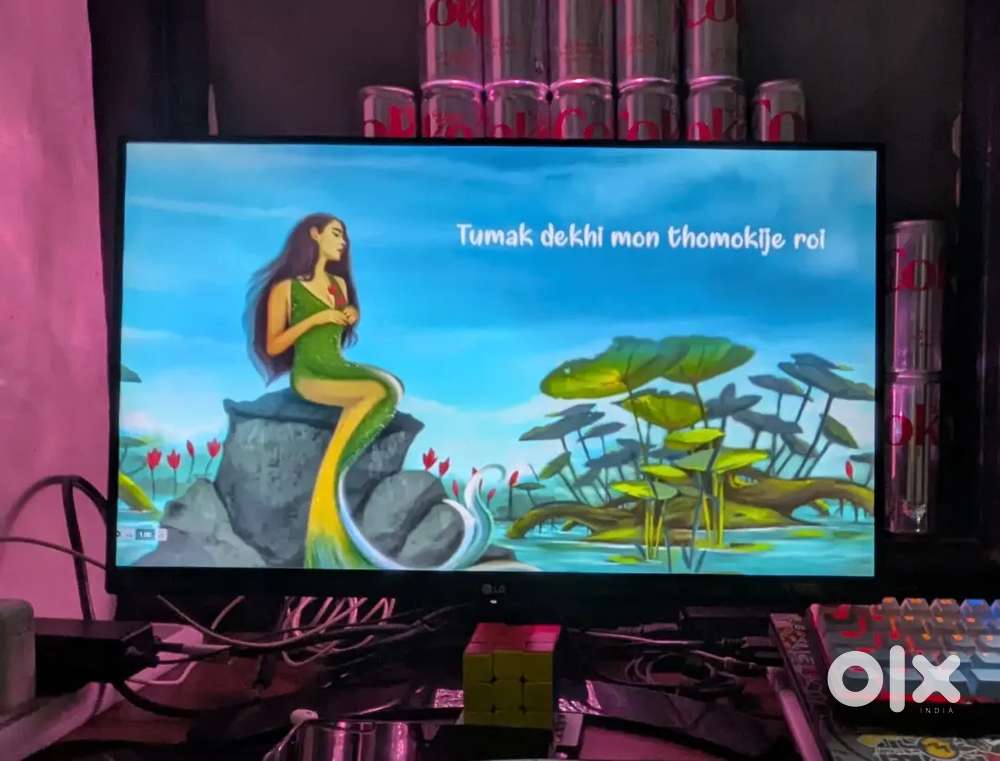 LG 22 full HD, bazel-less, anti-glare monitor