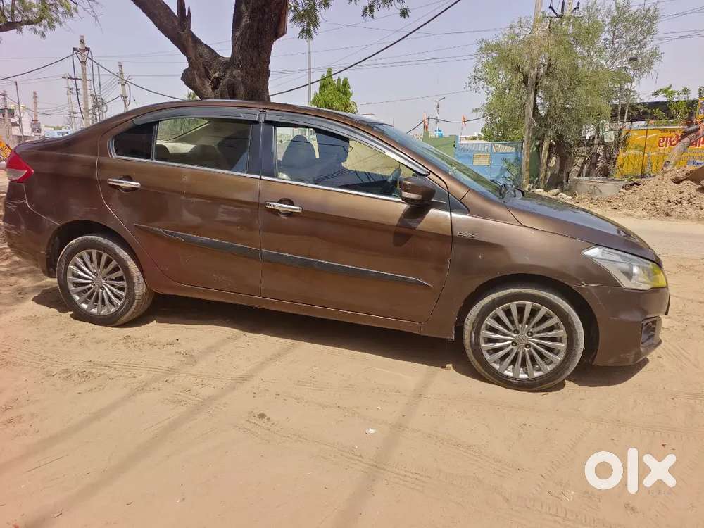 Top Model Ciaz Diesel Rocket