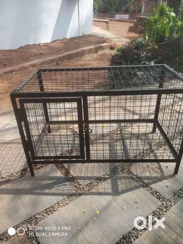 Olx sale cat cage