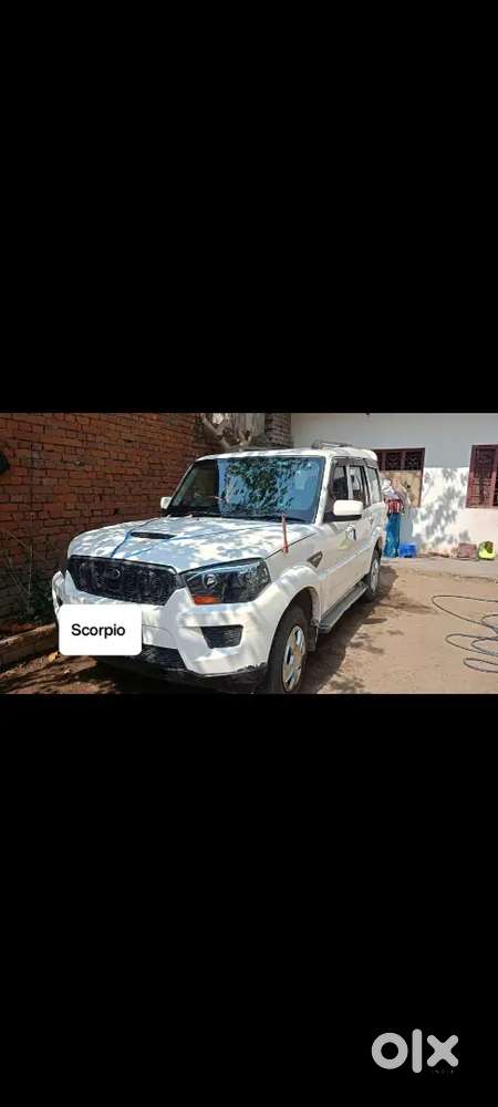 New Car Parches