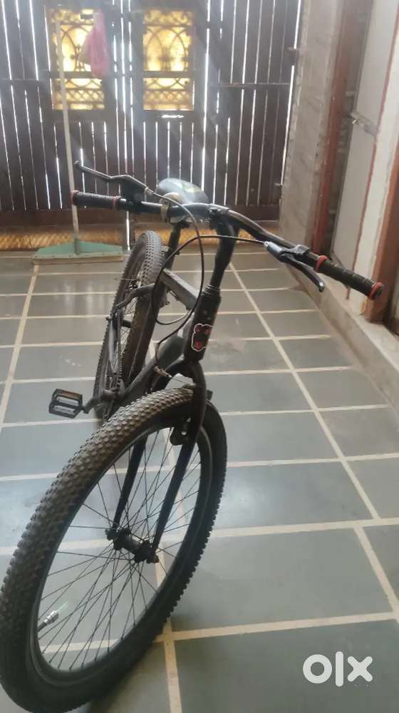 Bsst in condition Bicycles 1823920177