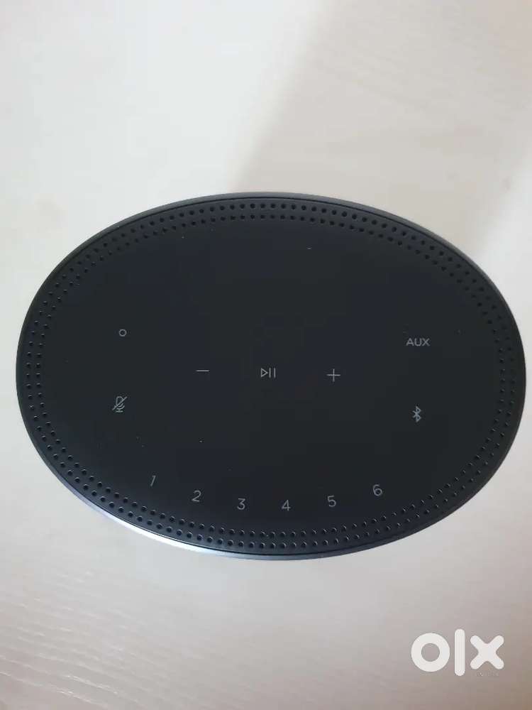 Bose Home Speaker 300