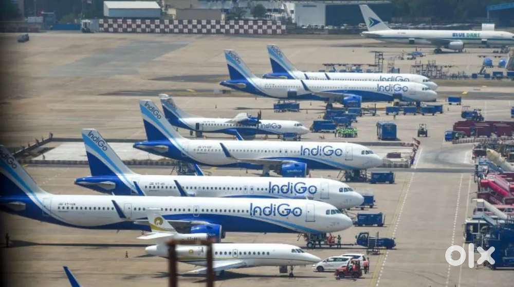 AIRPORT/AIRLINE JOBS GROUND STAFF CUSTOMER SERVICE AN AIRTICKETCOUNTER