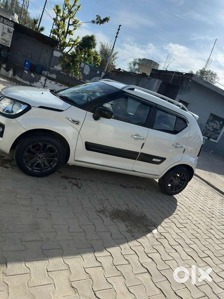 Maruti Suzuki 2023 Car