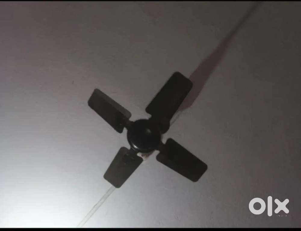 Ceiling fan