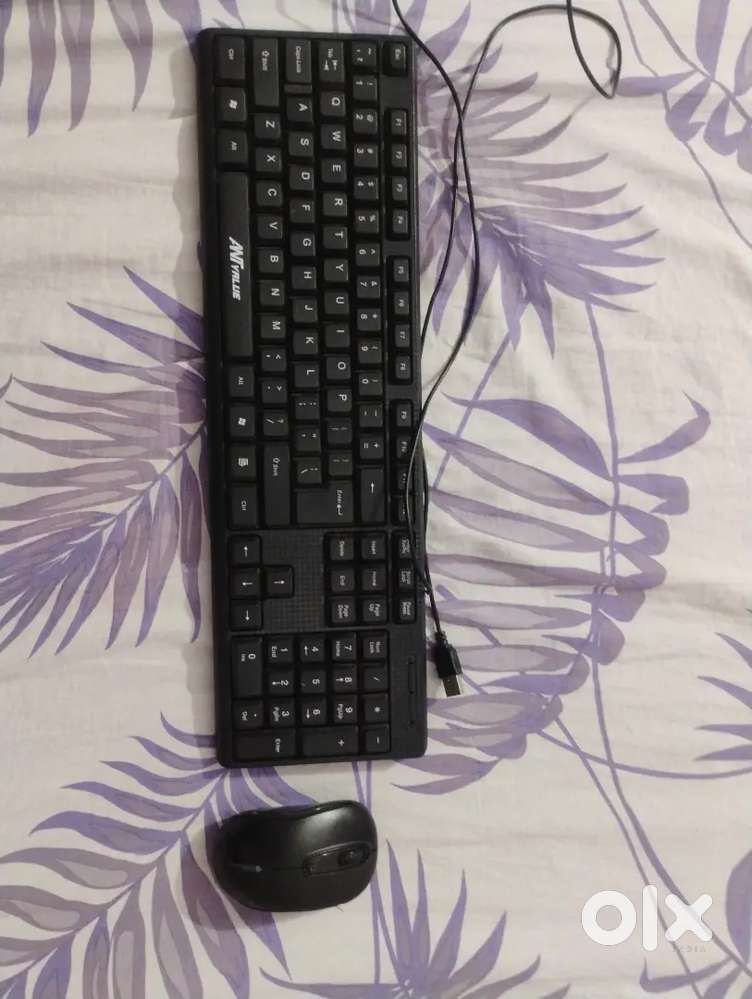 Portronics Keyboard and Mouse Set