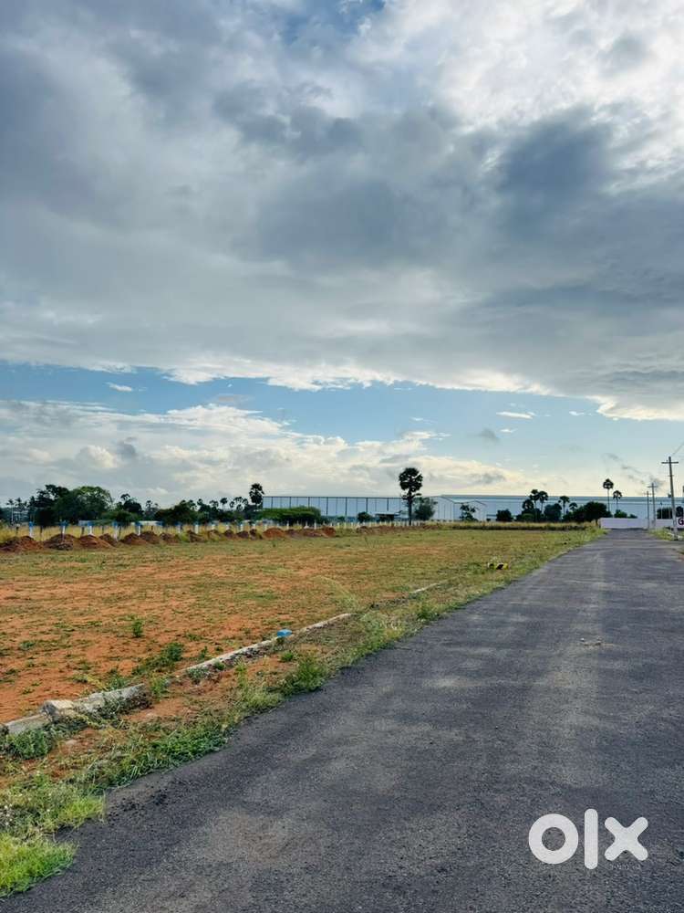 Empty land for rent - Lands & Plots - 1822318538