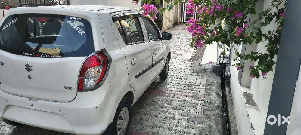 Urgent Sale Alto 800