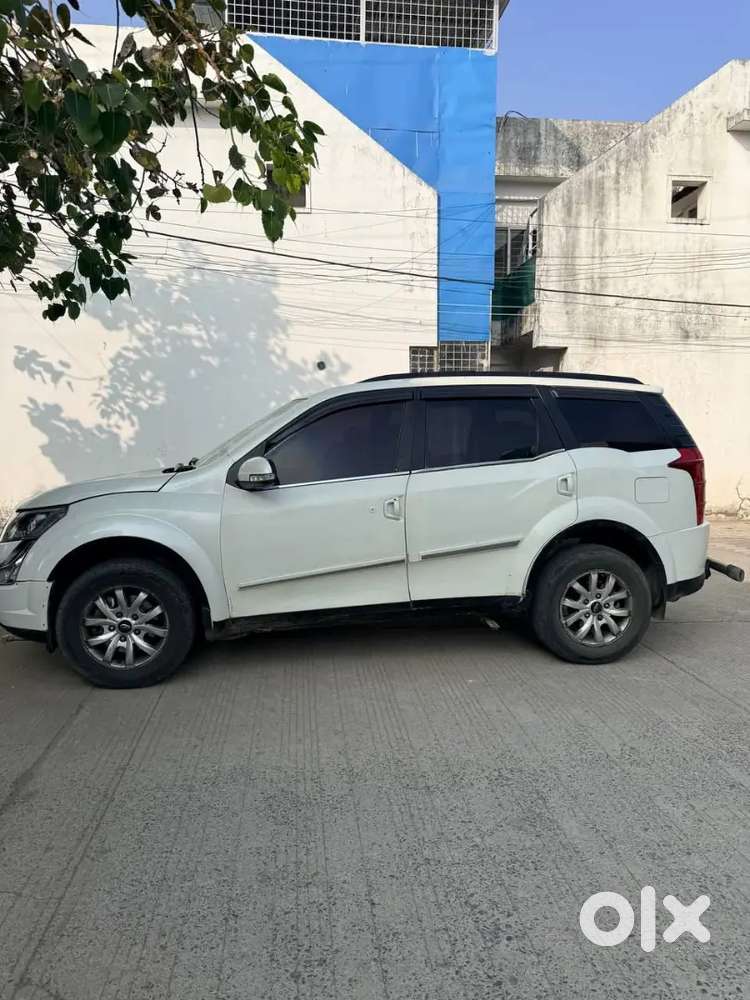 Fresh Condition