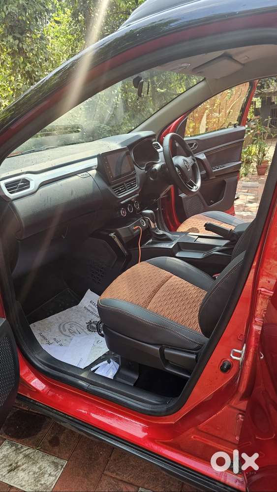 One Year Old Kiger For Sale