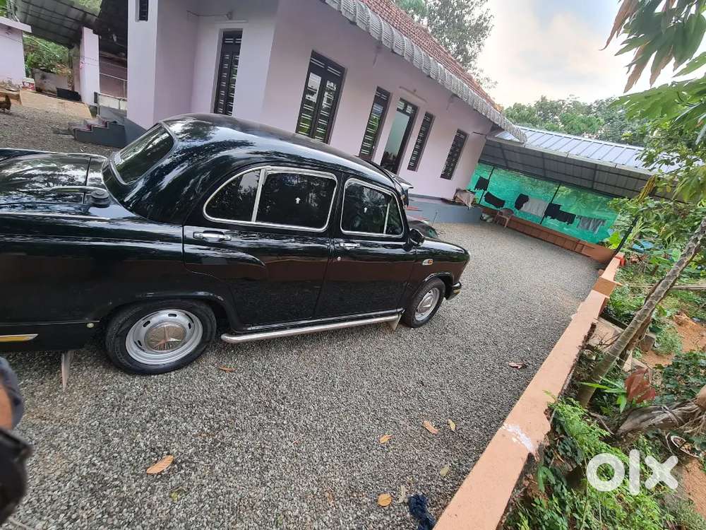 2012 Last Ambassador Registration