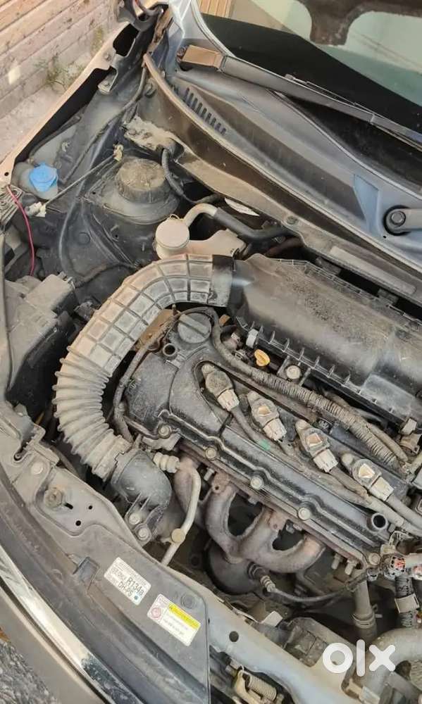 Maruti Suzuki Ignis 2019 November