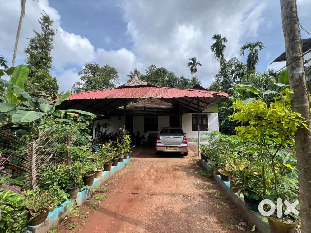 34 cent land with old house for sale near Nedumbassery, Neduvanoor