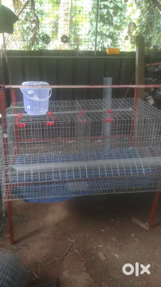 Cage for sale