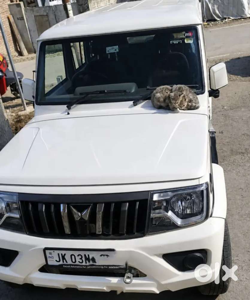 Mahindra Bolero 2024 Diesel 41000 Km Driven
