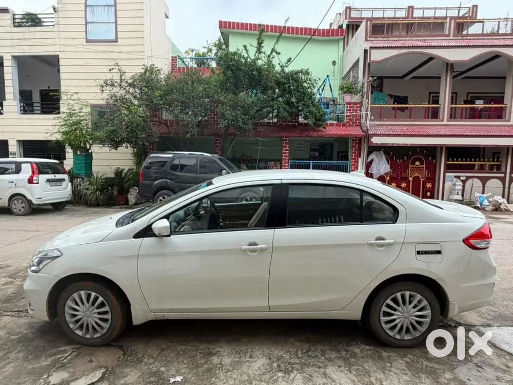 Maruti Suzuki Ciaz 2023 1st Owner