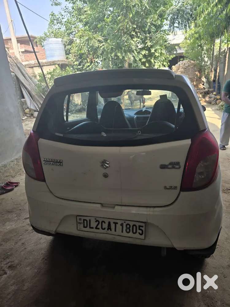 Alto 800 White Cng