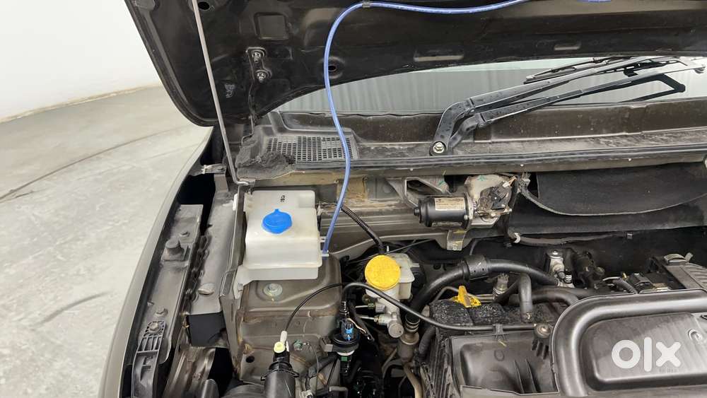 Renault Kwid 2019-ongoing 1.0 Rxt (o), 2019, Petrol