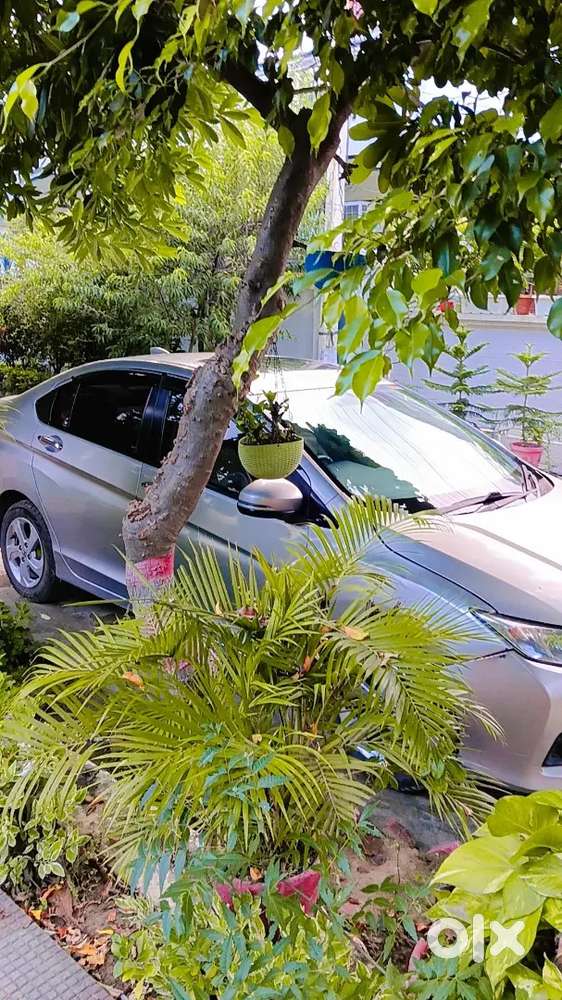 Honda City 2016 Petrol