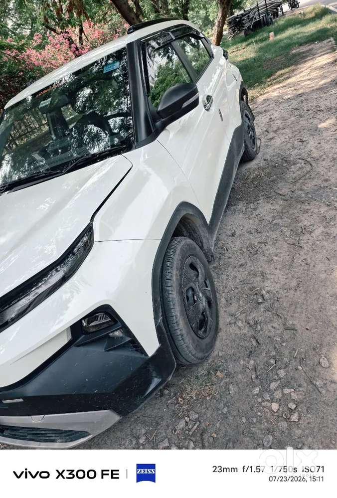 Punch 2026 Petrol