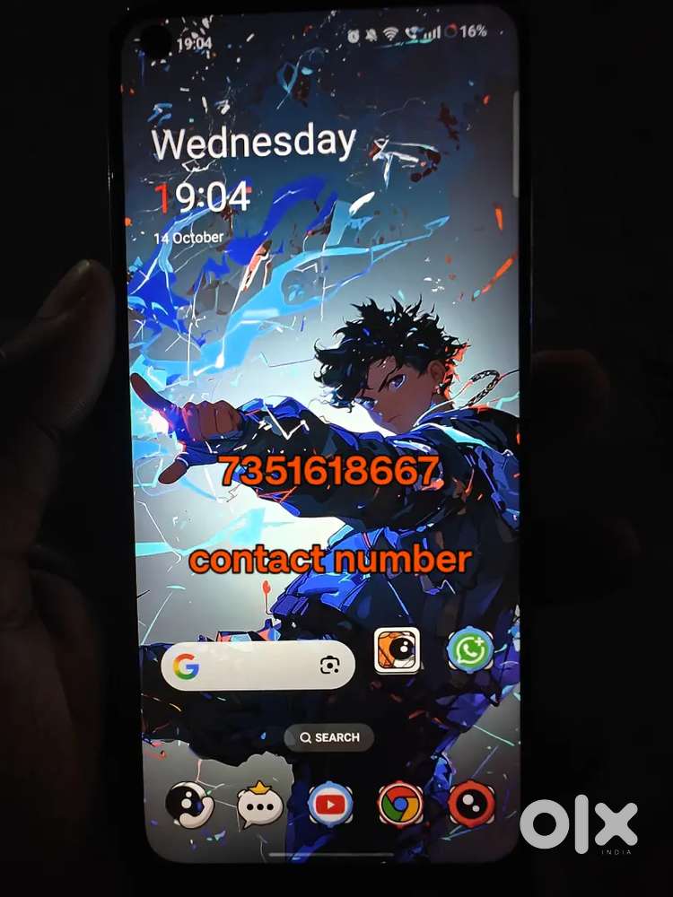 oneplus nord 2 12gb ram 256 gb storage
