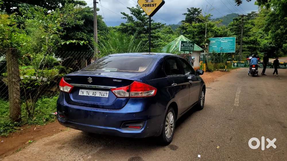 Maruti Suzuki Ciaz 2017 Diesel Well Maintained